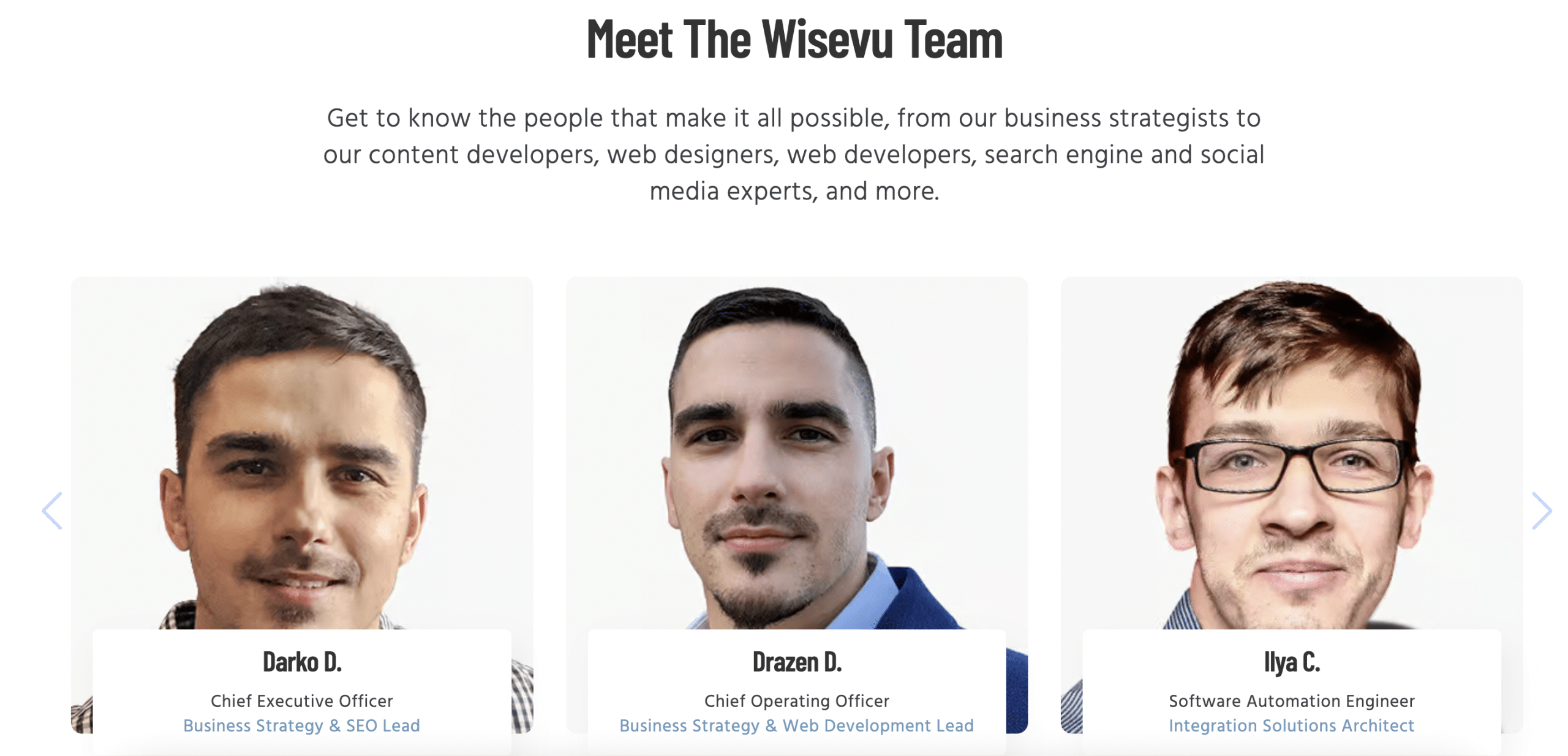 wisevu seo medical seo